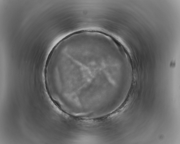 X0000090930959200708131451