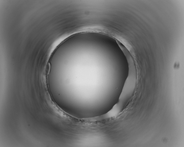 X0000090930960200708131451