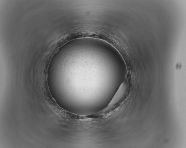 X0000090930961200708131450