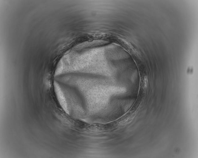 X0000090930962200708131450