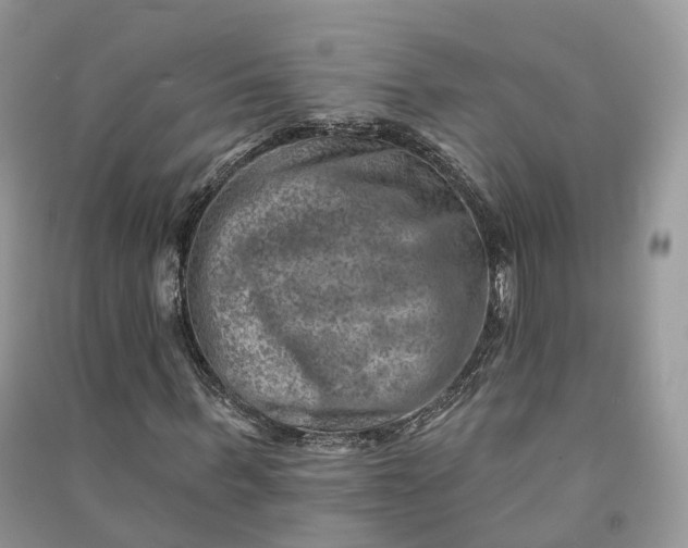 X0000090930963200708131450