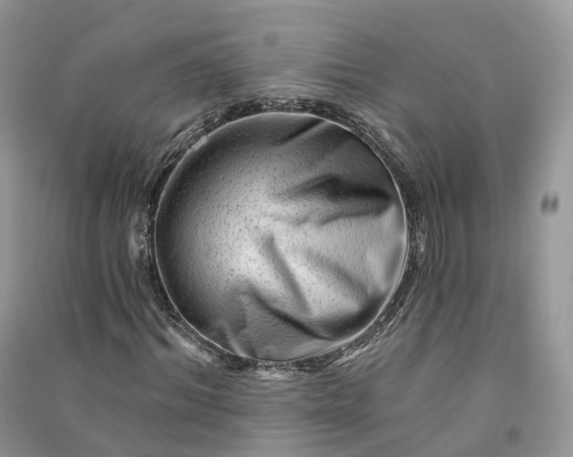 X0000090930964200708131450