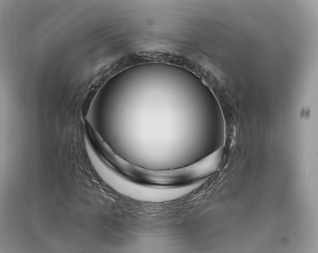 X0000090930965200708131450