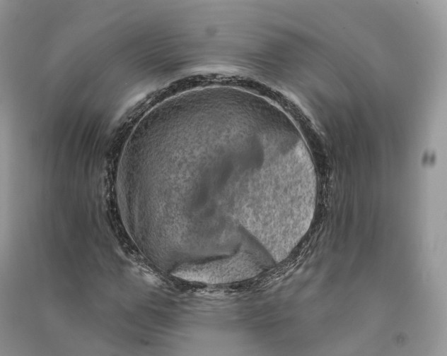 X0000090930967200708131450