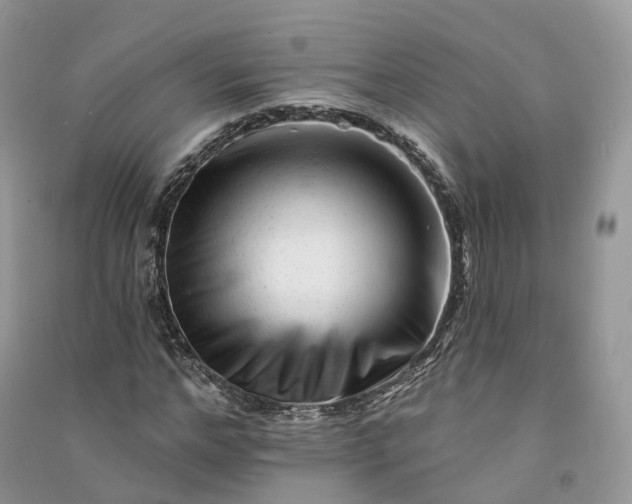 X0000090930968200708131450