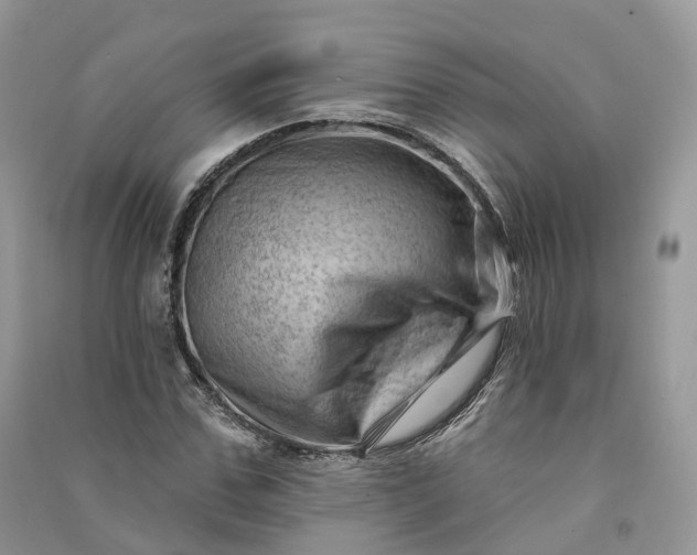 X0000090930971200708131450