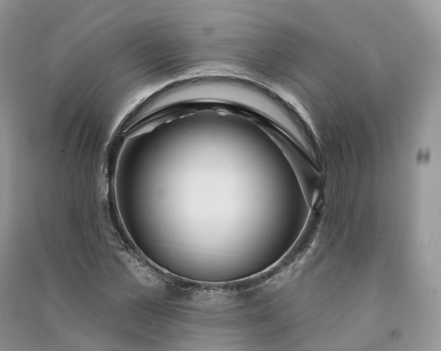 X0000090930973200708131450