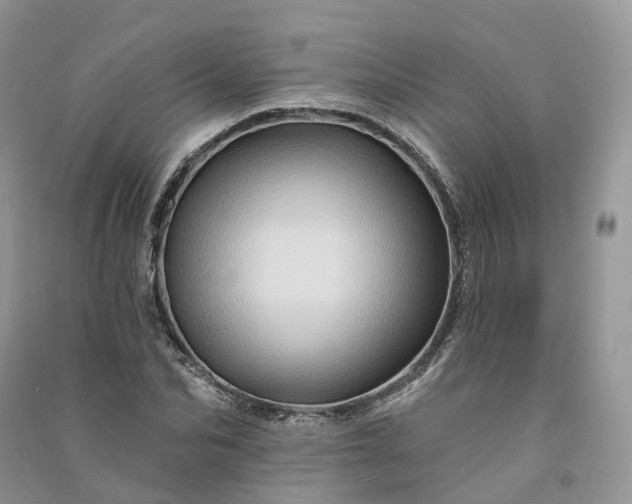 X0000090930974200708131450