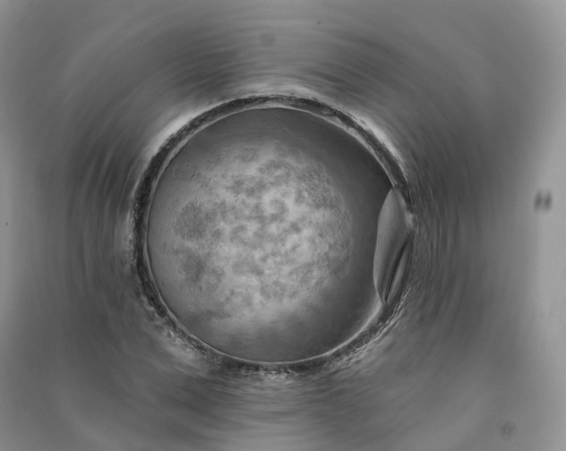 X0000090930975200708131450