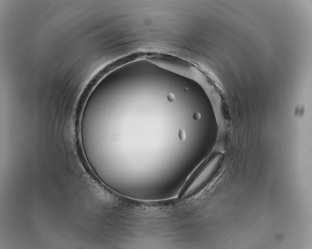 X0000090930976200708131450