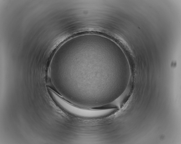 X0000090930977200708131450