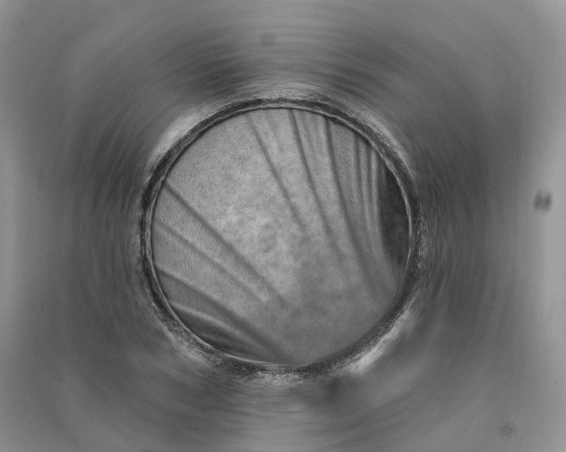 X0000090930978200708131450