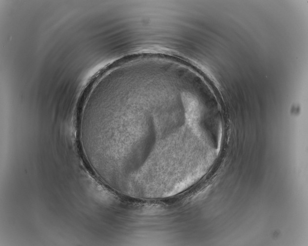 X0000090930979200708131450