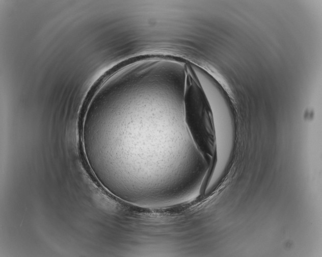 X0000090930980200708131450