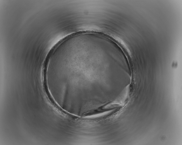 X0000090930983200708131450