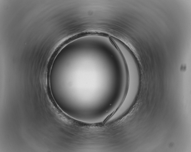 X0000090930984200708131450