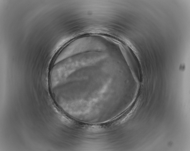 X0000090930986200708131450