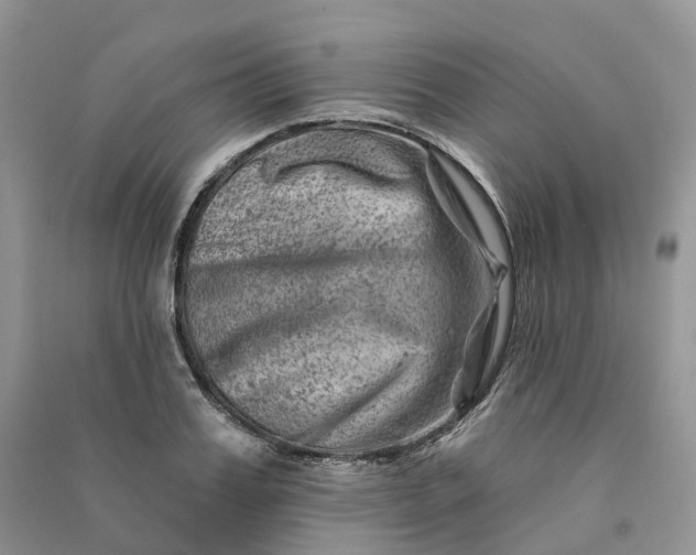 X0000090930987200708131450