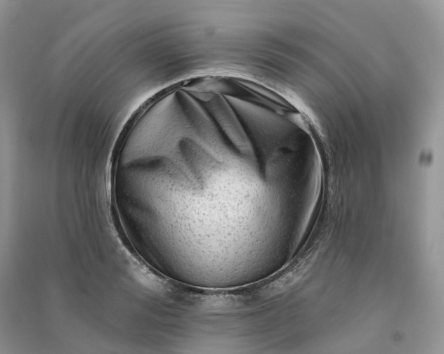 X0000090930988200708131450