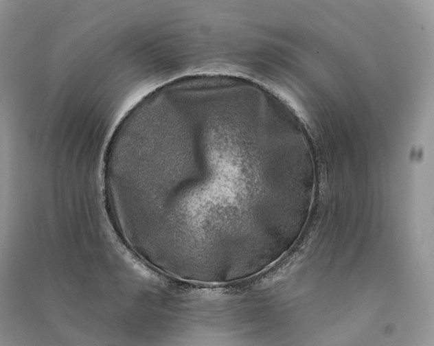 X0000090930990200708131450