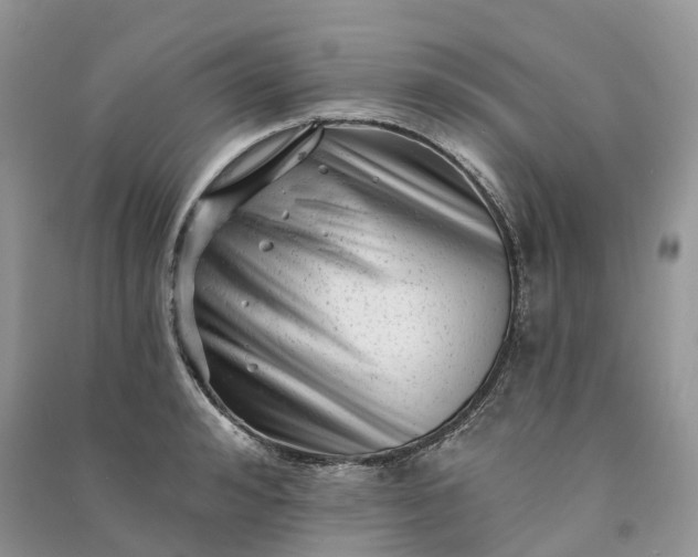 X0000090930992200708131450