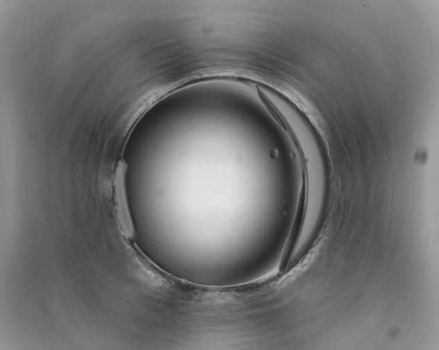 X0000090930993200708131450