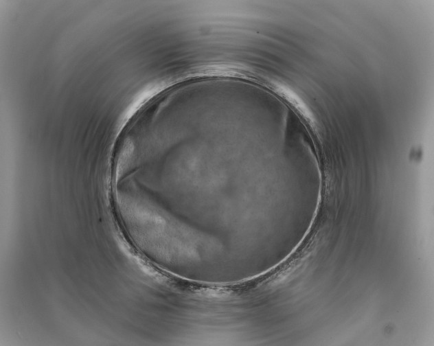 X0000090930994200708131450