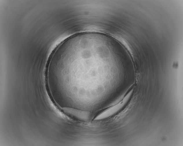 X0000090930995200708131450