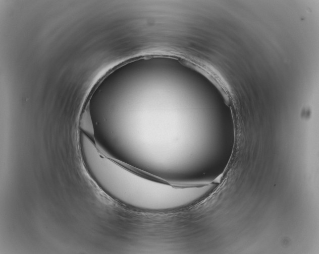 X0000090930996200708131450