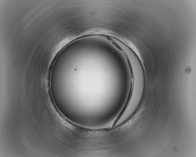 X0000090930997200708131450