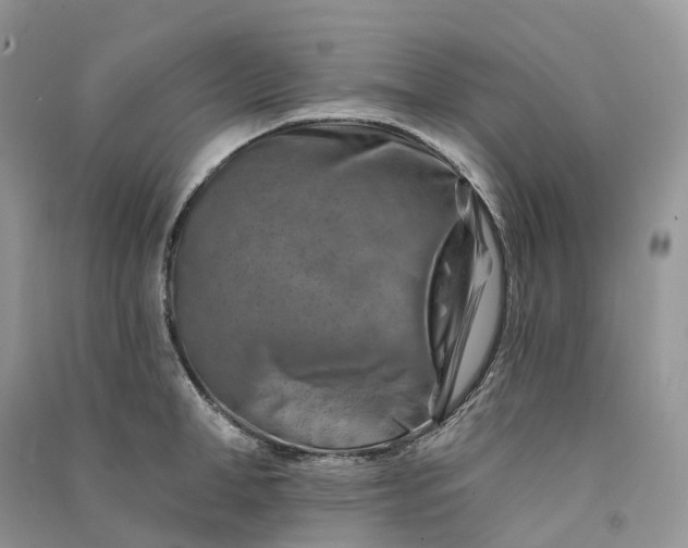 X0000090930998200708131450