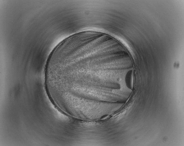 X0000090930999200708131450