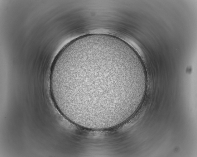 X0000090931000200708131450