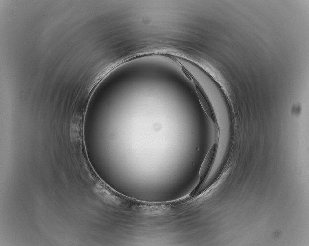 X0000090931001200708131450