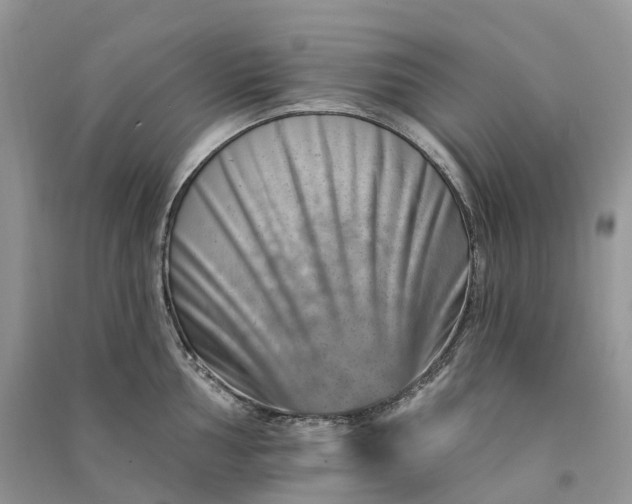 X0000090931002200708131450