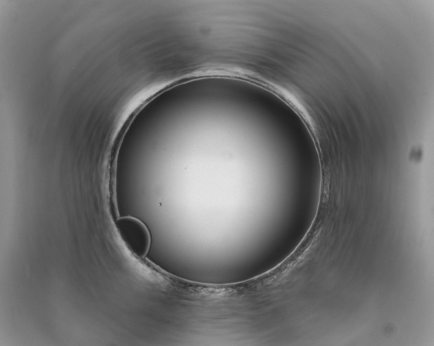 X0000090931003200708131450