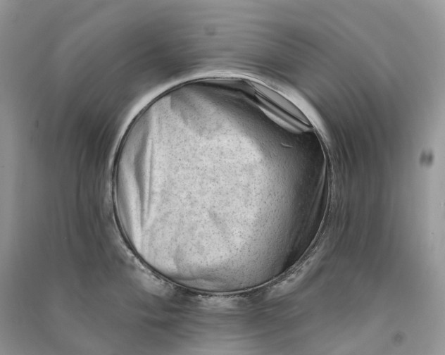 X0000090931004200708131450