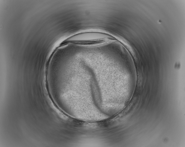 X0000090931006200708131449