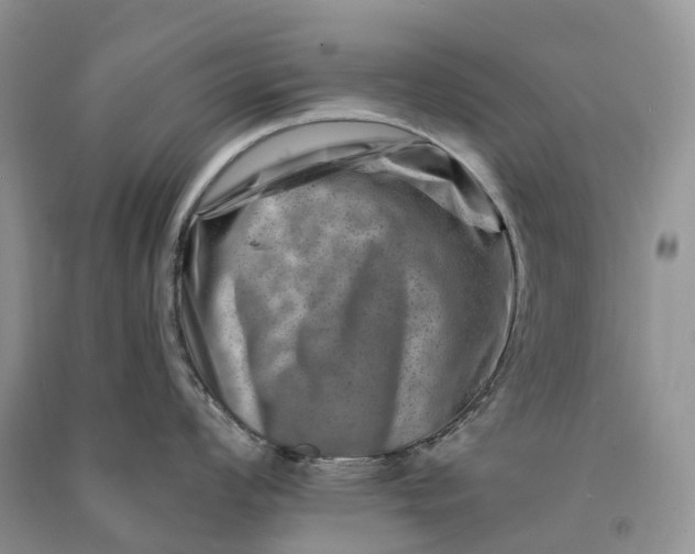 X0000090931008200708131449