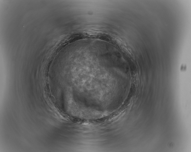 X0000090931009200708131449