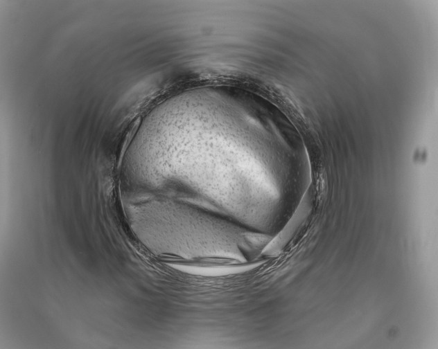 X0000090931012200708131449