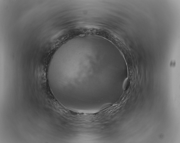 X0000090931013200708131449