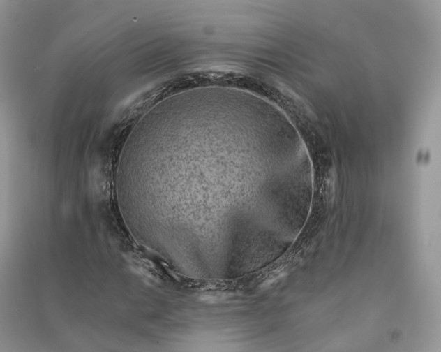 X0000090931014200708131449