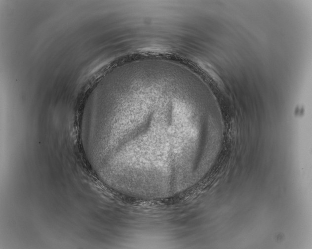 X0000090931015200708131449