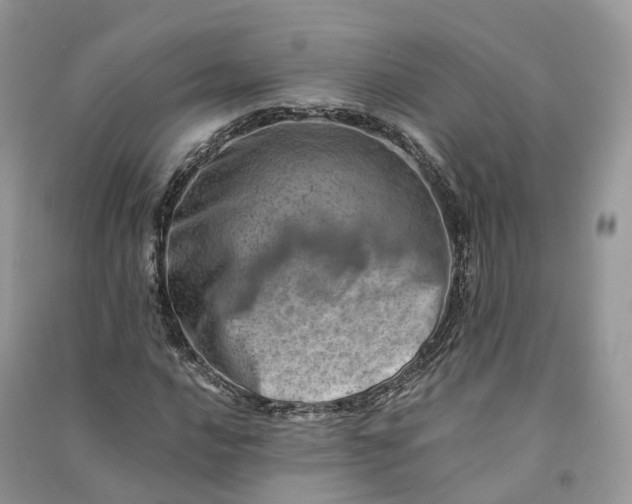 X0000090931016200708131449