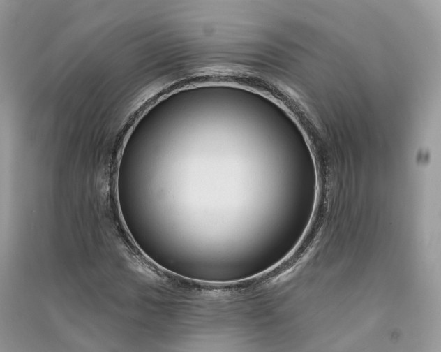 X0000090931017200708131449