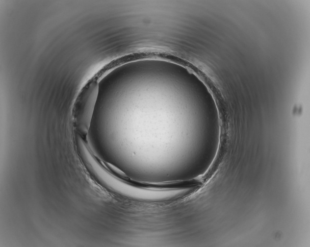 X0000090931022200708131449