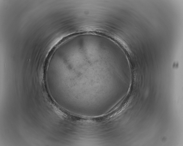 X0000090931023200708131449