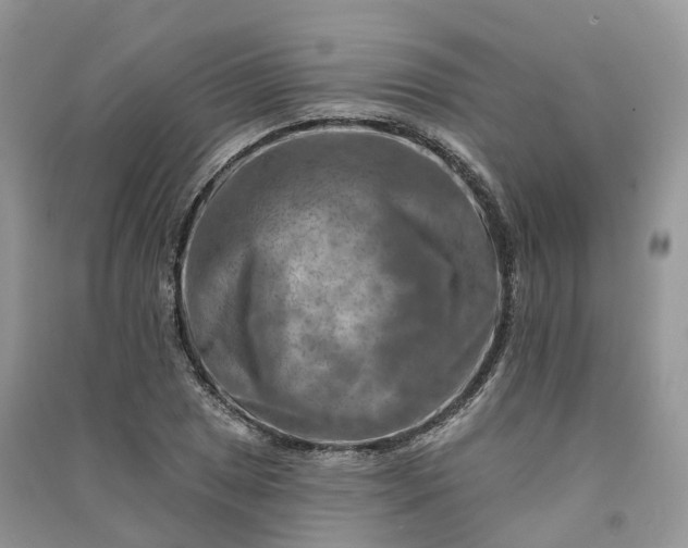 X0000090931025200708131449