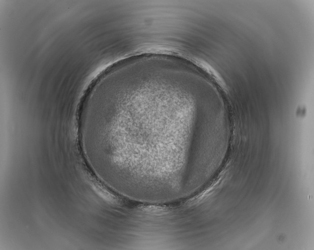 X0000090931027200708131449